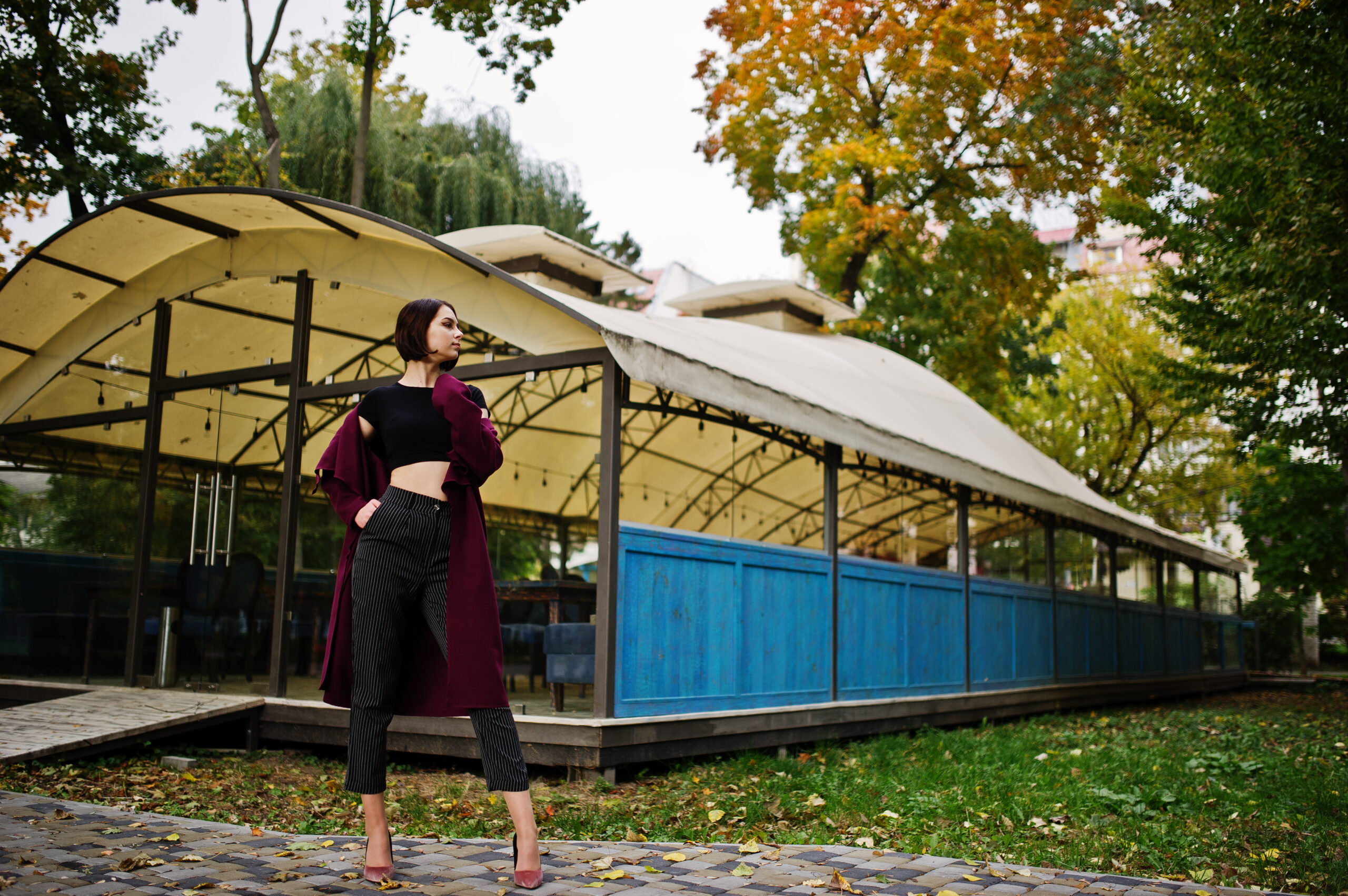 Smart Shade: Integrating Lighting and Tech into Your Backyard Canopies Toronto